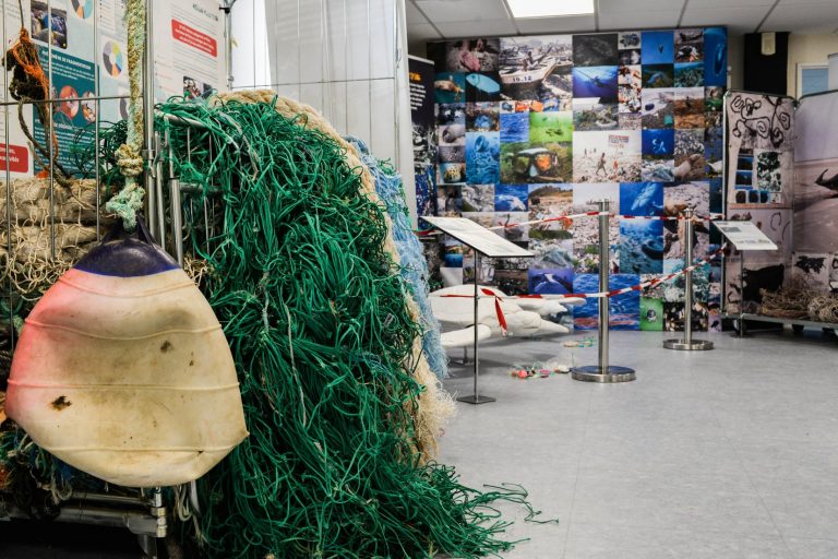 Exposition contre la pollution plastique