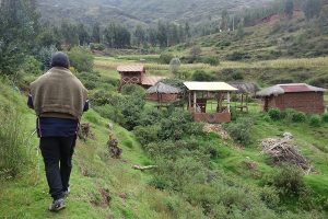 Techniques péruviennes